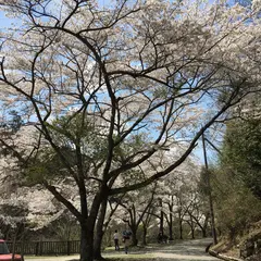 ささやまの森公園