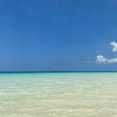 渡口の浜