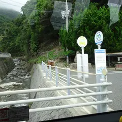 灘黒岩水仙郷