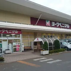ヨークベニマル花春店