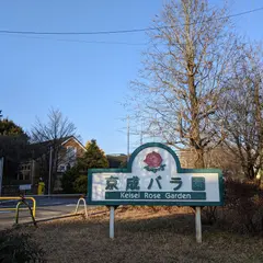 京成バラ園