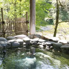 越後長野温泉 嵐渓荘