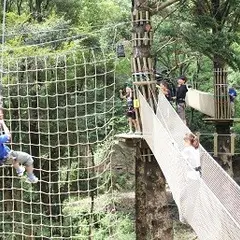 フォレストアドベンチャーつくば