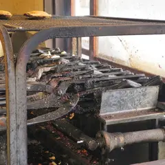 薄皮たいやき 福丸