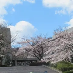 明治大学付属中野八王子中学高等学校