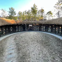 地中図書館