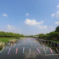朝陽の小径0m
