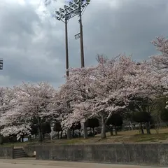 高千穂町総合公園