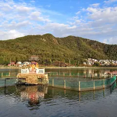 苧ヶ瀬池（おがせ池）