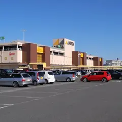 アピタ岐阜店