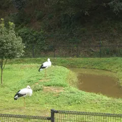 兵庫県立コウノトリの郷公園