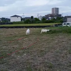 長草公民館