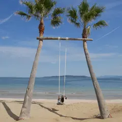 ヤシの木ブランコ