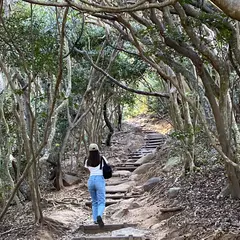 トトロの道