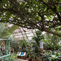 草津熱帯圏