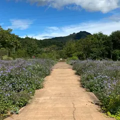 中之条ガーデンズ