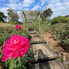 バラ園（佐倉草ぶえの丘）