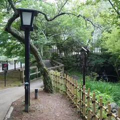 風の径