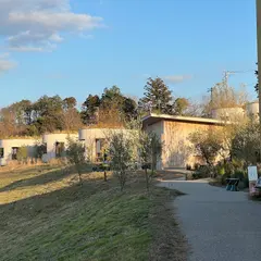 KURKKU FIELDS cocoon