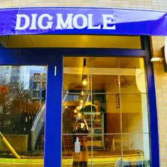 DIGMOLE