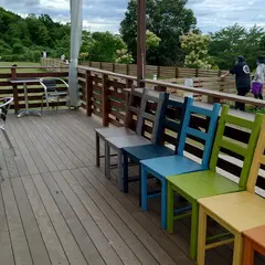 cafe two two & dog grass field
