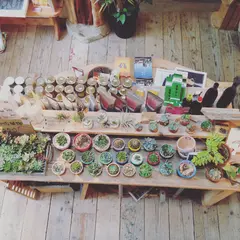 earth tree cafe