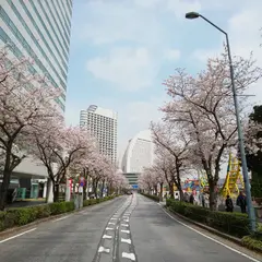 〒220-0012 神奈川県横浜市西区みなとみらい２丁目１