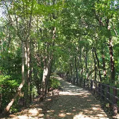 都筑中央公園