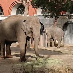横浜動物の森公園