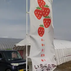 いちごの森 あおやま いちご自販機 いちご狩り