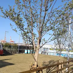 グランピング若戸大橋