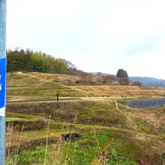 豊島 棚田プロジェクト