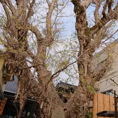 正円寺
