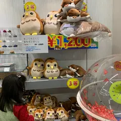 ミュージアムショップおいでや