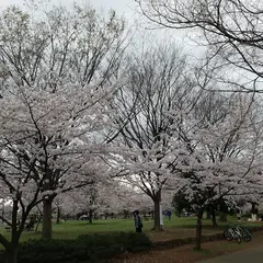 舎人公園
