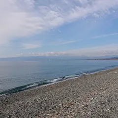 千本浜公園（バス）