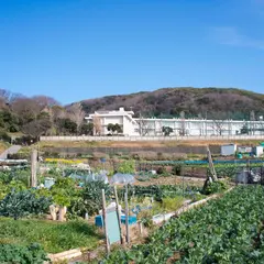 横須賀市立 津久井小学校