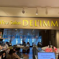 フルーティーサロン デリーモ