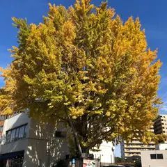 タイムズ土浦中央第２
