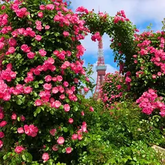 港区立芝公園