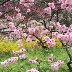 木工房 木逢屋