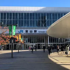 AMAZING TOYAMA