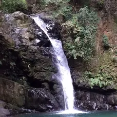 鮎返りの滝
