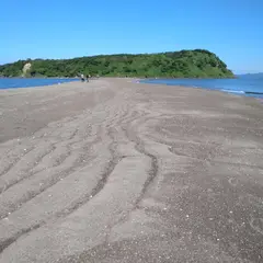 知林ヶ島