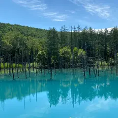 青い池