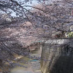 神田川