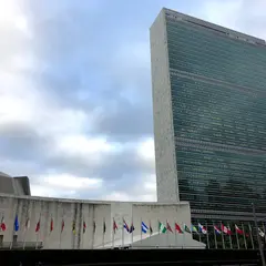 国際連合
