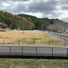 河津桜 臨時駐車場