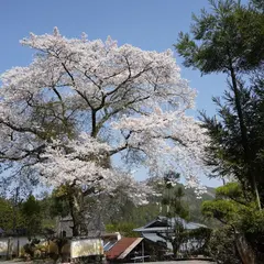 大法山 玉林寺