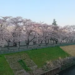 新座市立第四小学校